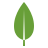 MongoDB MongoDB